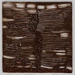 Ghost Forest Years (Past) 2024