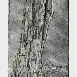 Ghost Forest (Past), 2024