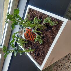 complete installation (wide view)