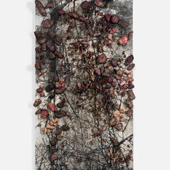 Meditations- Late Winter, Early Spring