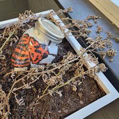 final state of piece (wide view)