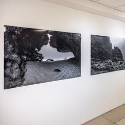 Installation Documentation, OAS Art Museum of the Americas in Washington, D.C.