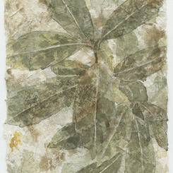 New Growth (Hillyer) #23