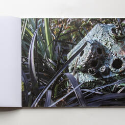 Publication page, Heart Beating Beneath the Earth