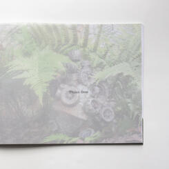 Excerpt from Heart Beating Beneath the Earth, pages 30-31