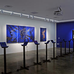 Haunted Koreas Mina Cheon with Kim Il Soon - American University Museum, Washington DC (2022)