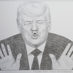 President Donald Trump