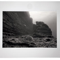 A Sparrow on the Floor of a Cathedral II