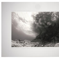 A Sparrow on the Floor of a Cathedral VII