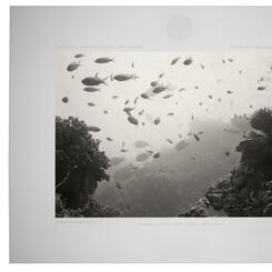 A Sparrow on the Floor of a Cathedral XIX