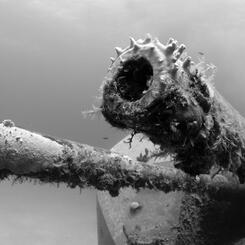 A Silence Thick with Fatigue 