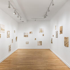 New Growth, IA&A at Hillyer