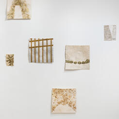 New Growth, IA&A at Hillyer