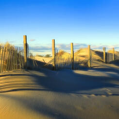 Assateague Fence