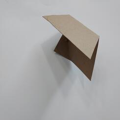 Cardboard Study 1