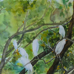 Along the Nile: Morning Gathering