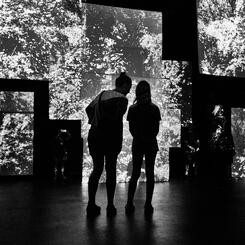 Conflux, Installation View, The Voxel, 2024