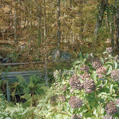 Connecticut to New York