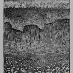 Covehithe Erosion Project