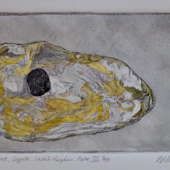 Covehithe Erosion Project