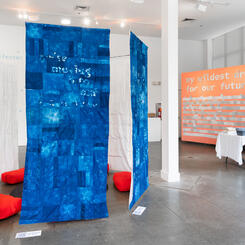 Dreamseeds - Installation View