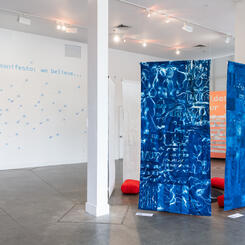 Dreamseeds - Installation View