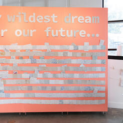 what is your wildest dream for our future?