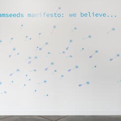 Dreamseeds Manifesto