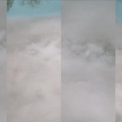 Ecobiont: Life/Death