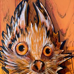 Feret human teeth.jpeg