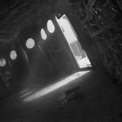 Muffled Rollings of A Milky Sea