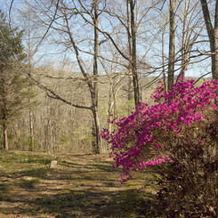 Georgia to Tennessee