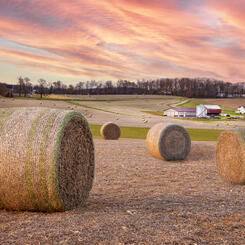 Gorsuch Hay Bales