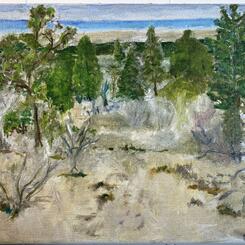 Sand Dunes, Cape Cod