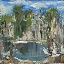 Pond in the Beech Forest