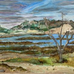 Provincetown Marshland