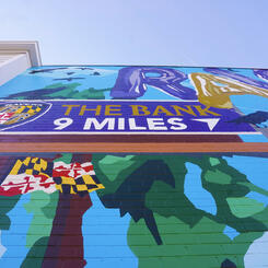 Towson Flock Mural Details