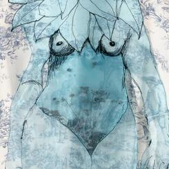 Close up of dried Mountain Mint in Ruff Woman belly 