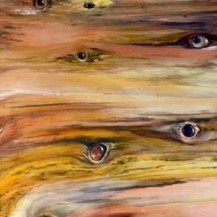 flowing wood, watching