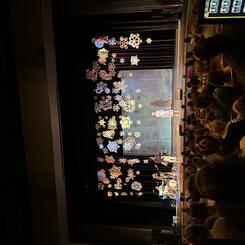 2024 performance at the Carver Center in Towson, MD