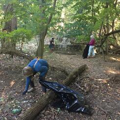 Honoring Autumn Equinox Through Environmental Care, Meeting Ground and Ritual - September 2022