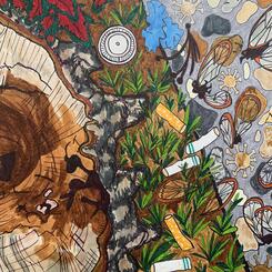 COVID Series: That Time We Had Cicadas