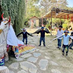 Rehearsing with the cow spirits