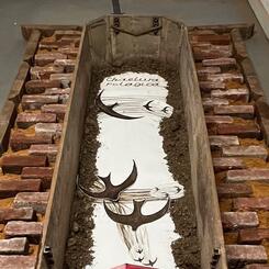 Chaetura Pelegica installation