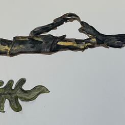 Covehithe Erosion Project