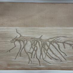 Hambleton Island Project