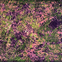 Les Bon Temps Rouler 8 x 10 Intaglio 2024