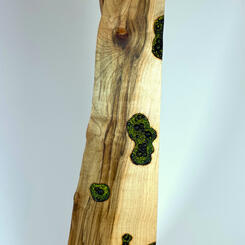 Multitudes on Scrap I