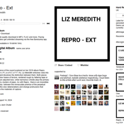 Liz Meredith - Repro - Ext (Hard Return, 2024)