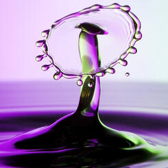 Mexican Hat Dancer - HIM